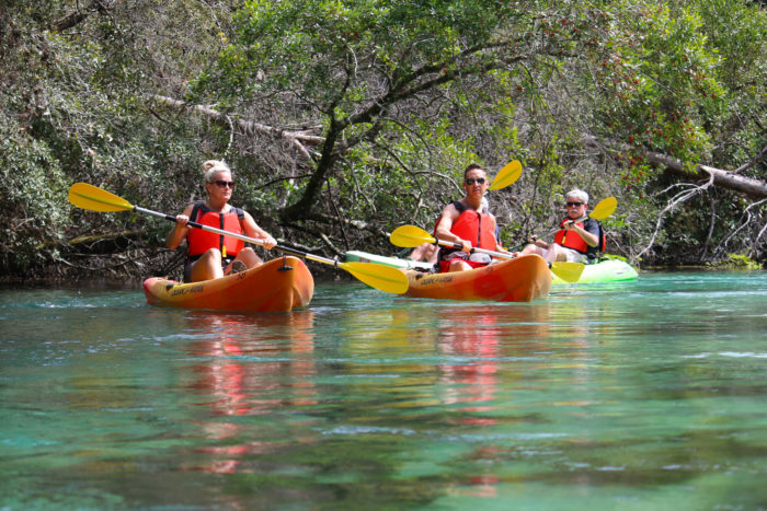Family paddling down river