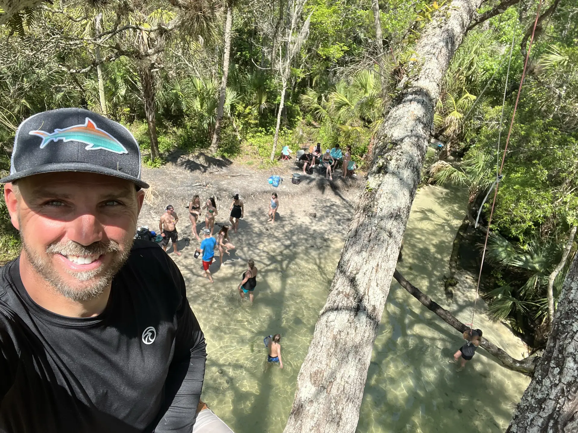tree-view-hero - Chadillac Adventures