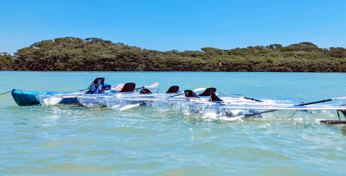 clearwater-beach-clear-kayak-tours-chadillac-3 - Chadillac Adventures