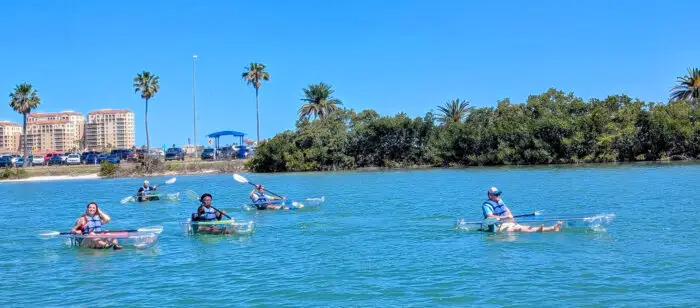 clearwater-beach-clear-kayak-tours-chadillac-6 - Chadillac Adventures